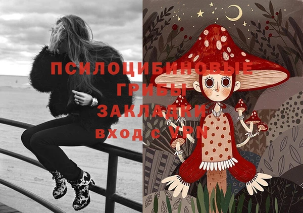 МДПВ Абинск