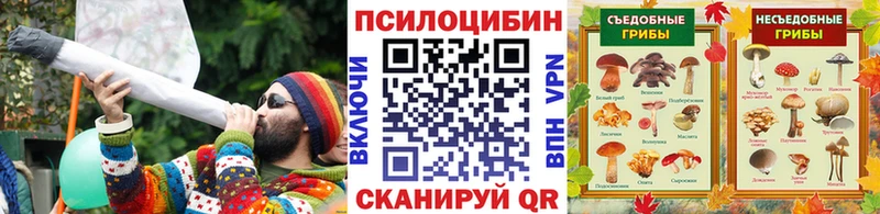 Псилоцибиновые грибы мицелий  Аксай 
